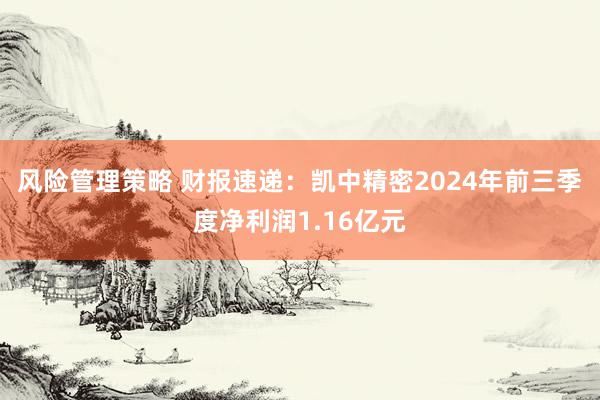 风险管理策略 财报速递：凯中精密2024年前三季度净利润1.16亿元