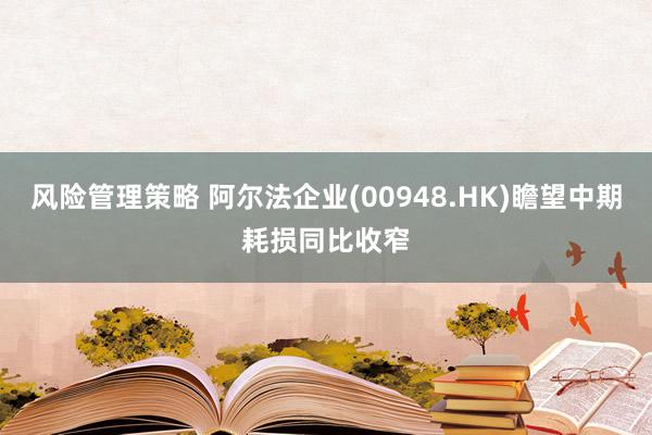 风险管理策略 阿尔法企业(00948.HK)瞻望中期耗损同比收窄