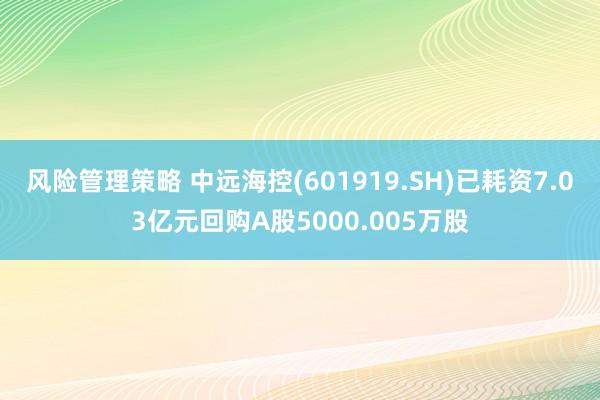 风险管理策略 中远海控(601919.SH)已耗资7.03亿元回购A股5000.005万股