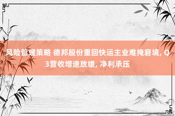 风险管理策略 德邦股份重回快运主业难掩窘境, Q3营收增速放缓, 净利承压