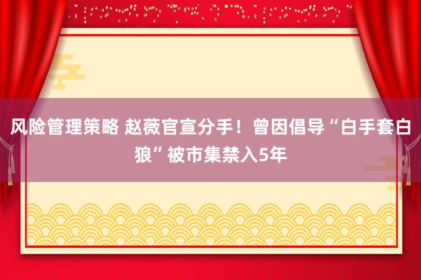 风险管理策略 赵薇官宣分手！曾因倡导“白手套白狼”被市集禁入5年