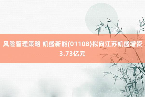 风险管理策略 凯盛新能(01108)拟向江苏凯盛增资3.73亿元