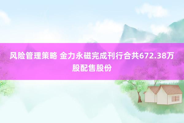 风险管理策略 金力永磁完成刊行合共672.38万股配售股份