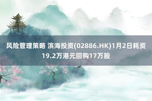 风险管理策略 滨海投资(02886.HK)1月2日耗资19.2万港元回购17万股