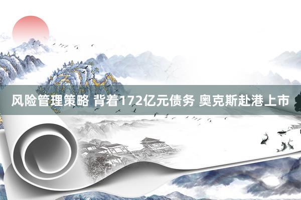 风险管理策略 背着172亿元债务 奥克斯赴港上市