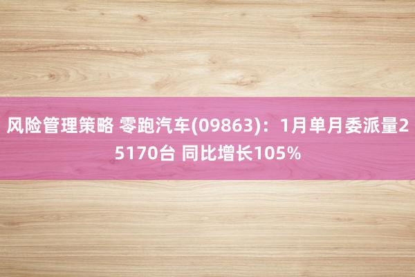 风险管理策略 零跑汽车(09863)：1月单月委派量25170台 同比增长105%