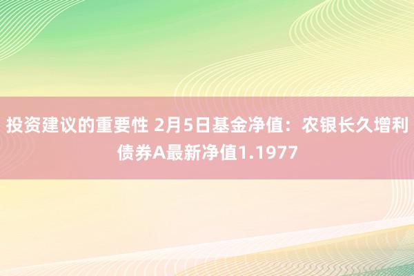 投资建议的重要性 2月5日基金净值：农银长久增利债券A最新净值1.1977