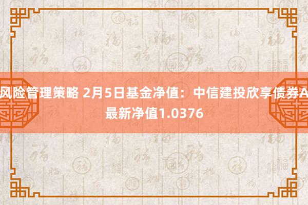 风险管理策略 2月5日基金净值：中信建投欣享债券A最新净值1.0376