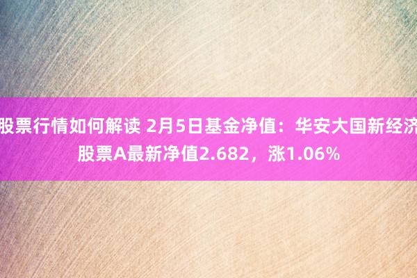 股票行情如何解读 2月5日基金净值：华安大国新经济股票A最新净值2.682，涨1.06%