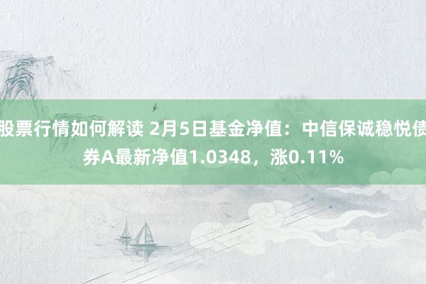 股票行情如何解读 2月5日基金净值：中信保诚稳悦债券A最新净值1.0348，涨0.11%