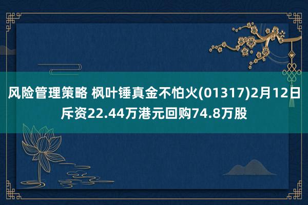 风险管理策略 枫叶锤真金不怕火(01317)2月12日斥资22.44万港元回购74.8万股