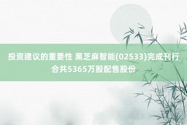 投资建议的重要性 黑芝麻智能(02533)完成刊行合共5365万股配售股份