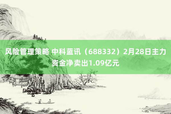 风险管理策略 中科蓝讯（688332）2月28日主力资金净卖出1.09亿元