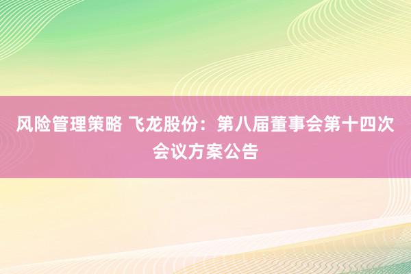 风险管理策略 飞龙股份：第八届董事会第十四次会议方案公告